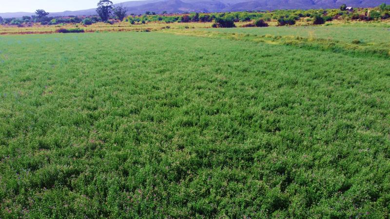 0 Bedroom Property for Sale in Calitzdorp Western Cape